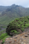 jp0_6176.jpg