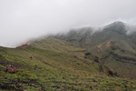 jp0_6193.jpg