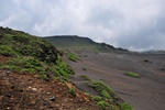 jp0_6220.jpg