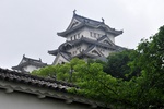 jp0_6229.jpg