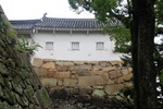 jp0_6233.jpg