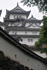 jp0_6245.jpg