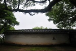 jp0_6246.jpg