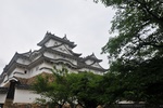 jp0_6248.jpg
