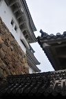 jp0_6249.jpg
