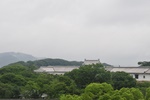 jp0_6252.jpg