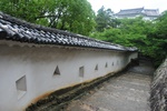 jp0_6265.jpg
