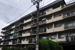 jp0_6291.jpg
