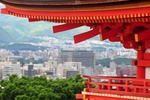 jp0_6295.jpg