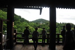 jp0_6301.jpg