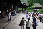 jp0_6303.jpg