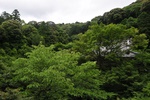 jp0_6307.jpg