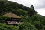 jp0_6308.jpg