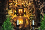 jp0_6315.jpg