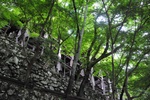 jp0_6330.jpg