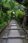 jp0_6351.jpg