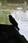 jp0_6357.jpg