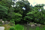 jp0_6369.jpg