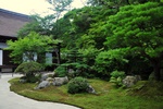 jp0_6370.jpg