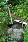 jp0_6372.jpg