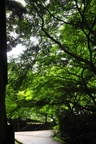 jp0_6409.jpg