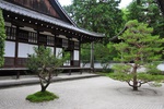 jp0_6415.jpg