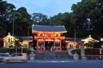 jp0_6475.jpg