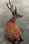 jp0_6493.jpg