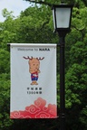 jp0_6497.jpg