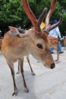 jp0_6502.jpg