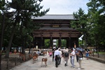 jp0_6503.jpg