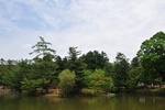 jp0_6510.jpg