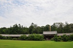 jp0_6520.jpg