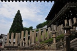 jp0_6547.jpg