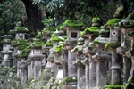 jp0_6558.jpg