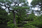 jp0_6577.jpg