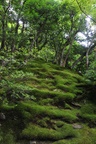 jp0_6587.jpg