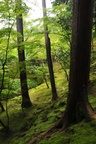 jp0_6596.jpg