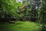 jp0_6618.jpg