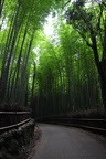 jp0_6622.jpg