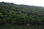 jp0_6627.jpg