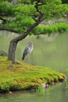 jp0_6648.jpg