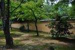 jp0_6659.jpg