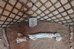 Dinosaur bone