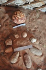 Dino eggs