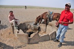 A well in the middle of the desert attracts a crowd
