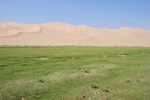 mon_7859.jpg