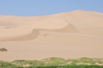 mon_7869.jpg
