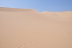 mon_7883.jpg