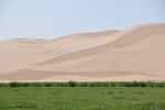 mon_8011.jpg